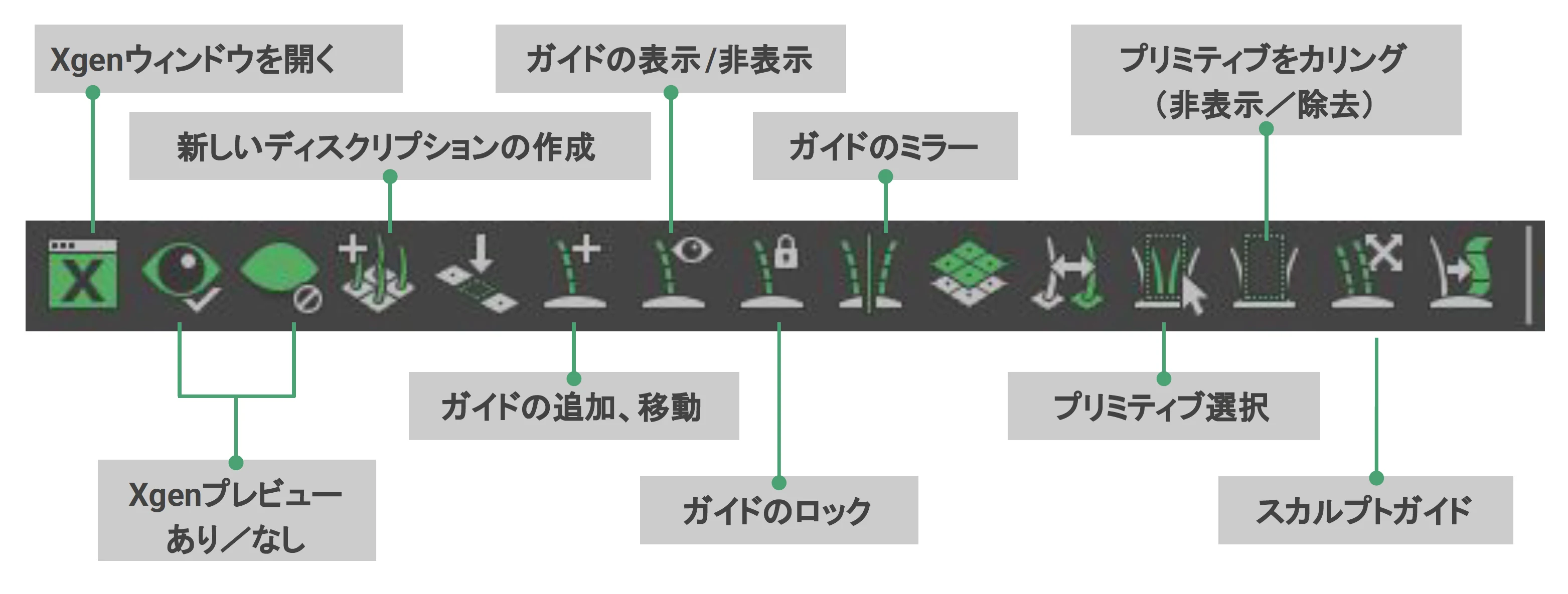 XGen主なツール