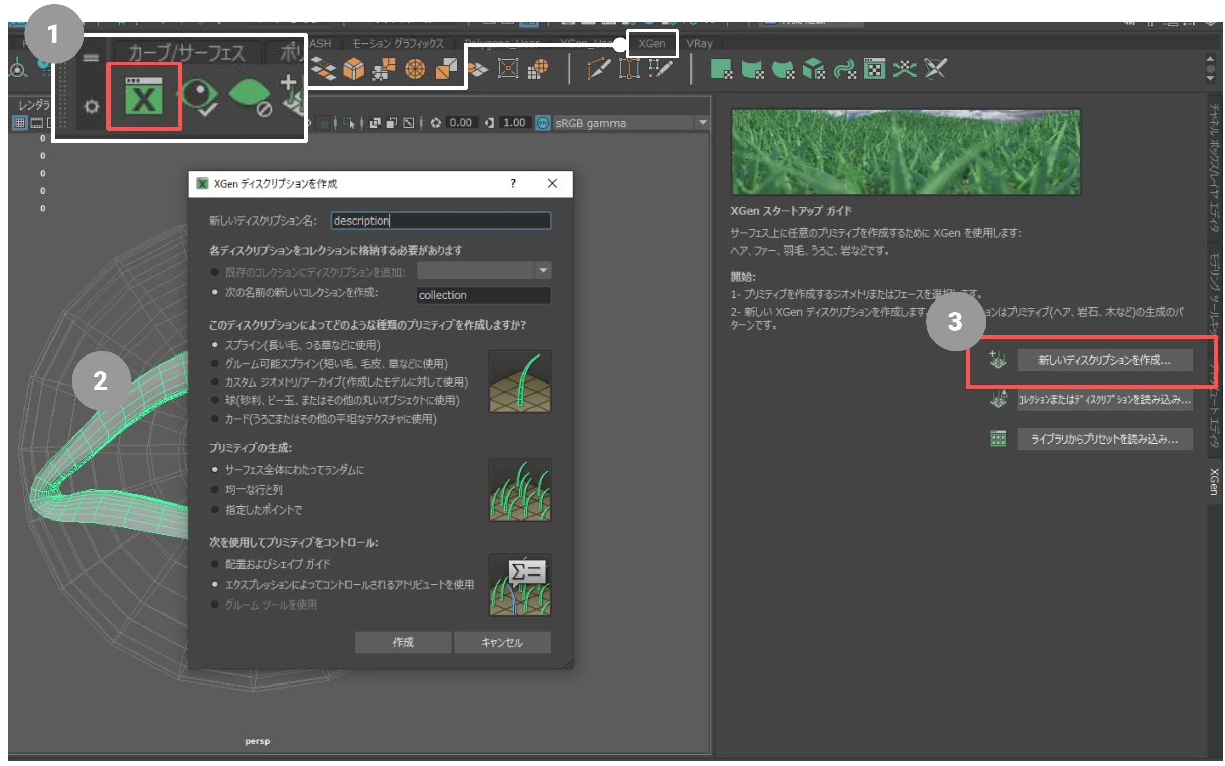 XGen起動