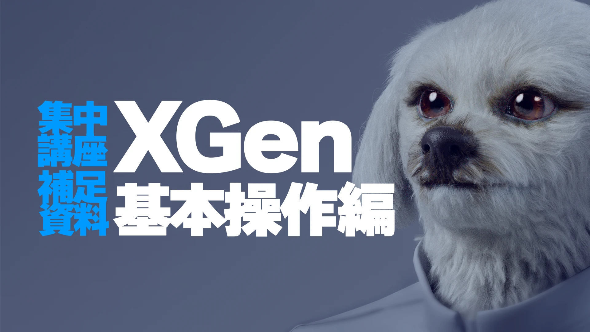 XGen 基本操作編